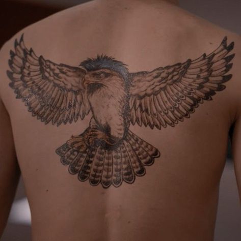 Cobra Kai Tattoo, Tattoo Hawk, Kai Tattoo, Hawk Cobra Kai, Kai Photo, Bald Eagle Tattoos, Aesthetic Oc, Hawk Pictures, Promise Tattoo