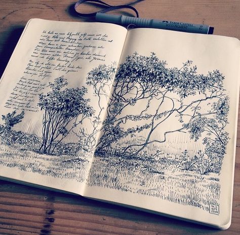 Illustration Garden Sketch, Illustrated Journal, Art Notebook, Moleskine Journal, Moleskine Sketchbook, Arte Sketchbook, Sketchbook Journaling, A Pen, Sketchbook Inspiration