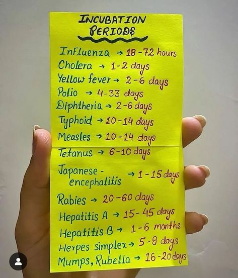 Save it for later ⬇️🧑🏻‍⚕️📈🏥🧠🧬📌 🔰Follow @medquizzone for more study tips ✅ . . . . . . . . . . . . . . . #newvork #canda #usa #uk #usmle #plab #nle #amc #haad #for-you #asmr #doctor #nurse #whitecoat #fyp #grow #StudyWithMe #fly #viralvideo #reels #reels #account #pmdc #dha #comlex #mccqe #nZreX #mCqS #medicalstudent #futuredoctor Pharmacology Studying, Med School Study, Medical Study, Advance Technology, Nursing School Essential, Nursing School Motivation, Medical School Life, Nurse Study Notes, Basic Anatomy And Physiology