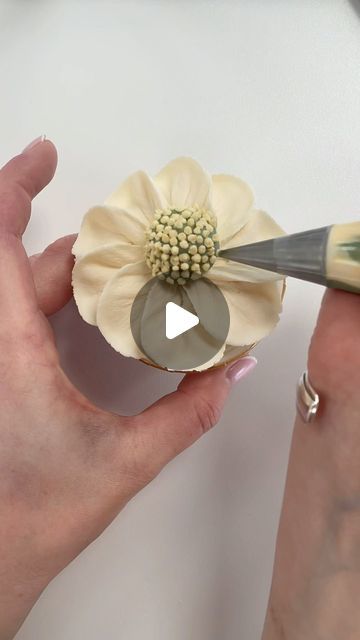 Alice Ward on Instagram: "Just for fun- a cute little daisy type flower for y’all 😄🤍 . #cake #cupcakes #flower #flowercupcakes #floralcupcakes #buttercreamflowers #piping #pipingvideo #prettyflower #prettycupcakes #buttercream #frosting #icingvideo #petalsbakehouse" Petals Bakehouse, Icing Piping Techniques, Flower Muffins, Cupcake Decorating Techniques, Buttercream Flowers Tutorial, Easy Cupcakes Decoration, Piping Buttercream, Cake Decorating Flowers, Frosting Flowers