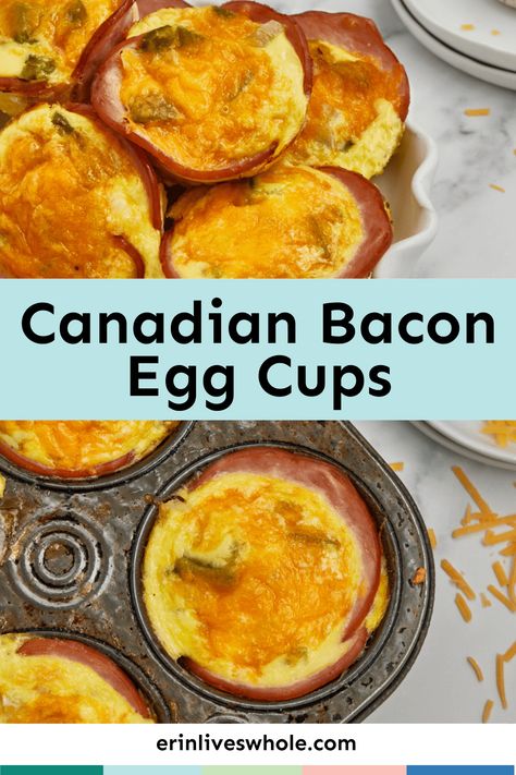 Canadian Bacon Egg Cups, Canadian Bacon Breakfast, Canadian Bacon Recipes, Bacon Egg Cups, Bacon Cups, Egg Muffins Healthy, Bacon Egg Muffins, Bacon Muffins, Egg Cups Breakfast