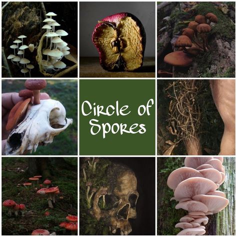 Circle Of Spores Druid Dnd, Dnd Circle Of Spores, Spore Druid Dnd, Spore Druid Aesthetic, Circle Of Spores Druid Aesthetic, Druid Vibes, Druid Aesthetic Dnd, Mushroom Druid, Circle Of Spores Druid