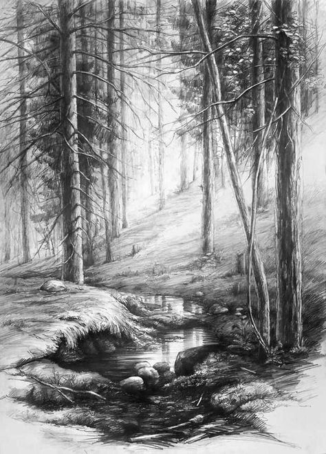 Nature Sketches Pencil, Forest Sketch, Tato Flash, Easy Pencil Drawings, Beautiful Pencil Drawings, Landscape Pencil Drawings, Forest Drawing, Tree Drawings Pencil, Forest Tattoos