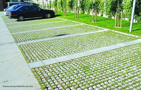 Car Park Design, Grass Driveway, Permeable Driveway, Grass Pavers, Parking Building, Permeable Paving, Paving Design, Parking Area, Driveway Landscaping