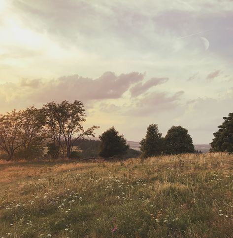 we're the granddaughters of the witches you weren't able to burn Junk Yard, Nature Aesthetic, Pretty Places, Pretty Pictures, Happy Places, Mother Nature, Aesthetic Pictures, Summer Vibes, Beautiful Places