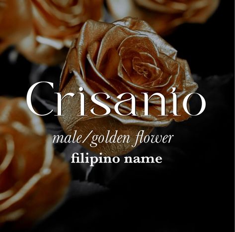 Last Names For Characters Filipino, Filipino Names With Meaning, Thai Names Boy, Filipino Names Boy, Mystical Names Male, Filipino Last Names, Chinese Male Names, Unique Fantasy Names Male, Male Names Unique