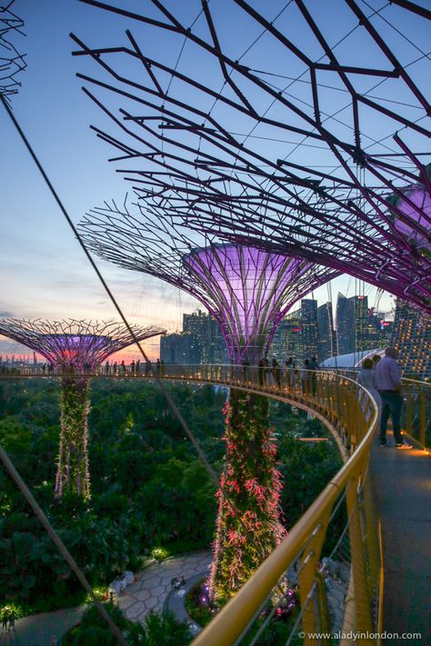 Gardens by the Bay, Singapore Singapore Travel, Gardens By The Bay, Future Travel, Cebu, Ho Chi Minh City, Chiang Mai, Travel Inspo, Hanoi, Asia Travel