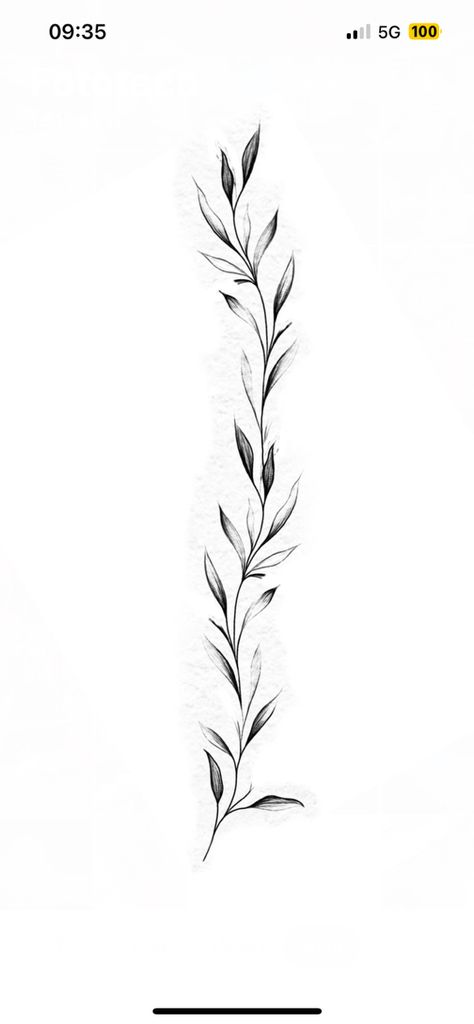 Fine Line Rosemary Tattoo, Vine Tattoo Designs For Women, Leaves Tattoo Drawing, Laurel Tree Tattoo, Vines Tattoo Stencil, Pathos Plant Tattoo, Dainty Plant Tattoo, Simple Aesthetic Tattoos, Olive Branch Tattoo Design