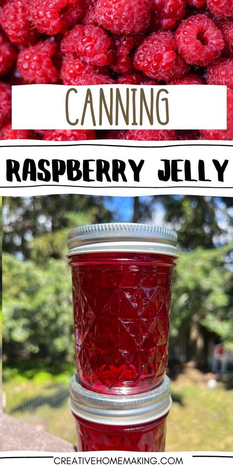 How To Make Raspberry Jelly, Red Raspberry Jelly Recipe, Raspberry Jelly Recipe Easy, Raspberry Jelly Recipe With Pectin, Mixed Berry Jelly Recipe, Making Jelly Homemade, Canning Recipes Jams & Jellies, Canning Jams And Jellies, Jellies And Jams