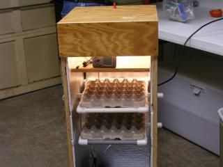 4 Hills Cabinet Incubator.Hello all. Hope this will help someone like all the great ideas on BYC... Garden Automation, Quail Breeding, Quail Farming, Homemade Incubator, Diy Incubator, Neutral Kids Bedroom, Chicken Incubator, Quails, Egg Incubator