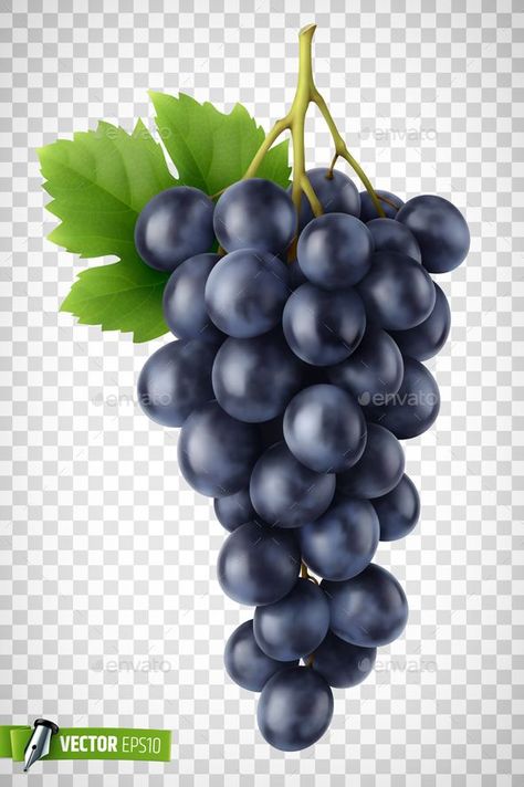 Vector Realistic Bunch of Grapes, #Grapes, #advertisement, #Bunch, #Realistic, #Vector, #ad