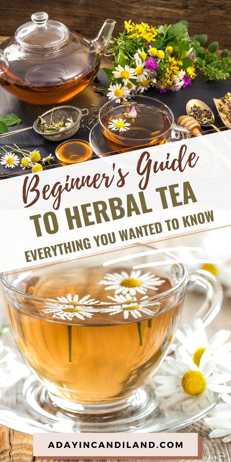 Growing Tea, Homemade Tea Recipes, Hot Tea Recipes, Tea Blends Recipes, Herbal Tea Garden, Herbal Tea Benefits, Best Herbal Tea, Medicinal Tea, Healing Tea