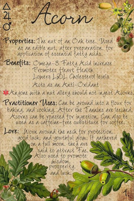 Dietary Aide, Herbal Witch, Magickal Herbs, Holistic Health Remedies, Magic Herbs, Wiccan Spell Book, Herbal Apothecary, Natural Healing Remedies, Herbal Healing