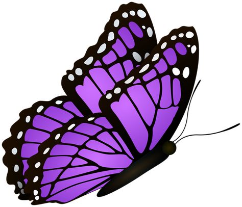 Flying Butterfly Purple Clipart Image Purple Butterfly Clipart, Purple Butterfly Icon, Dark Purple Butterfly, Butterfly Side View, Purple Clipart, Butterfly Icon, Clipart Butterfly, Butterfly Purple, Flying Butterfly