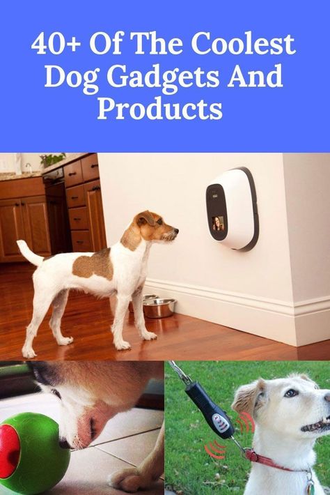 Dog Supplies - Find thousands of brands and great products, all catered for the modern shopper like YOU. Check It Out Now! Cool Dog Products, Dog Gadgets Products, Pet Gadgets Products, Best Dog Accessories, Dog Must Haves Products, Best Dog Products, Puppy Gadgets, Puppy Binder, Aesthetic Dog Supplies