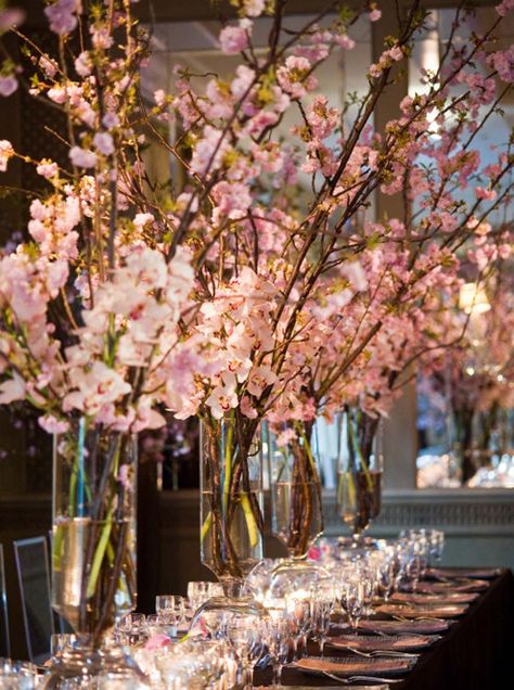 I like the height of the cherry blossom displays Cherry Blossom Wedding Decor, Cherry Blossom Centerpiece, Cherry Blossom Decor, Cherry Blossom Theme, Cherry Blossom Wedding, Wedding Table Flowers, Table Flowers, Trendy Wedding, Wedding Themes