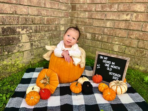 October 2022: One month old photoshoot! Fall 2 Month Old Pictures, 3 Month Old Pumpkin Pictures, October 2 Month Baby Pictures, October Monthly Milestone Picture, 2 Month October Pictures, 1 Month October Pictures, One Month Old Baby Pictures November, November Photoshoot Ideas Baby, October Milestone Picture Ideas