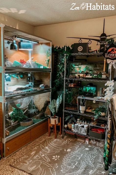 A great setup starts with a great enclosure. Zen Habitats reptile enclosures are stackable and expandable to grow with you and your pet. Our spacious and beautiful enclosures were designed with your pet's well-being as our top priority while also looking great in your home. Shop our customers' reptile room setups via the link below: Reptile Enclosure Ideas, Bearded Dragon Vivarium, Diy Reptile, Snake Enclosure, Enclosure Ideas, Reptile Care, Reptile Room, Fishing Room, Reptile Terrarium