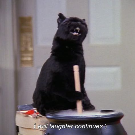 3,890 Likes, 27 Comments - Black Cat Style (@blackcatstyleresale) on Instagram: “spooky szn 👻🎃⠀ .⠀ .⠀ .⠀ .⠀ .⠀ #salem #salemthecat #sabrinatheteenagewitch #mood #instamood…” Sabrina Cat, Wicked Funny, Salem Saberhagen, Salem Cat, Goth Memes, Gatos Cool, Dragon Heart, Evil Witch, Urn Pendant