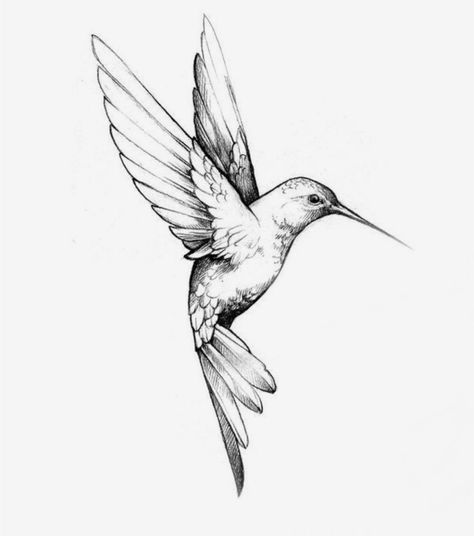 Small Bff Tattoos, Hummingbird Tattoo Black, Bird Shoulder Tattoos, Bird Tattoo Men, Tiny Bird Tattoos, Bird Tattoos For Women, Artsy Tattoos, Vogel Tattoo, Tattoo Lettering Design