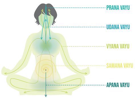 Exploring the Pancha Prana of Five Vayus Standing Yoga, Anahata Chakra, Channeling Energy, Yoga Philosophy, Heart And Lungs, Hip Openers, Yoga Nidra, Yoga Therapy, Large Intestine