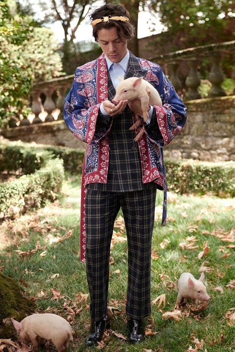 Man Lunch, Glen Luchford, Harry Styles Gucci, Gucci Campaign, Harry Styles Photoshoot, Harry Styles Gif, Harry Styles Outfit, Harry Styles Hot, Harry Styles Funny