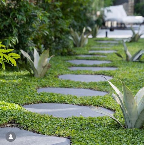 Plant Tiles of Dichondra repens cut to shape and put between pavers for instant green coverage. Stepping Stone Pavers, Long House, Outdoor Inspirations, Front Garden, Garden Paths, Dream Garden, Small Garden, Garden Planning, Cottage Garden