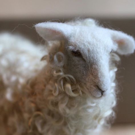 Heather Burke on Instagram: “Just listed this needle felted sheep on my website. Link in profile. 🐑  I don’t have time for a shop update for the holidays (more on why…” Felted Sheep, Out Of Reach, Felted Animals, Wool Projects, Alpaca Fiber, Thread Painting, Needle Felted Animals, Wet Felting, Felt Art