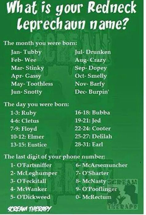 Leprechaun name Leprechaun Names, Funny Name Generator, St Patricks Day Quotes, St Patrick Day Activities, What's Your Name, St Patricks Day Food, Name Game, Irish Quotes, Interactive Posts