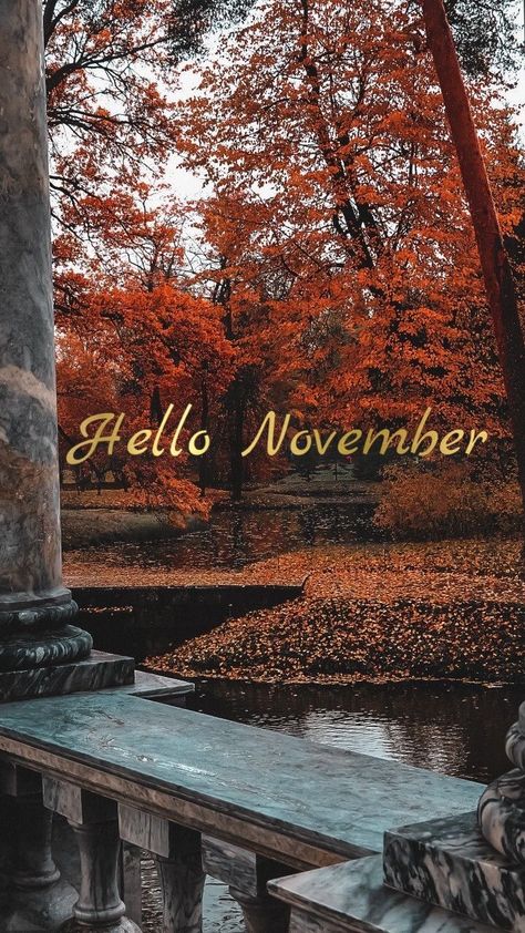 Hello November Wallpaper Iphone, Hello November Images, Hello November Aesthetic, Hello November Wallpaper, November Pics, November Wallpaper Aesthetic, November Wallpapers, Hallo November, November Hello