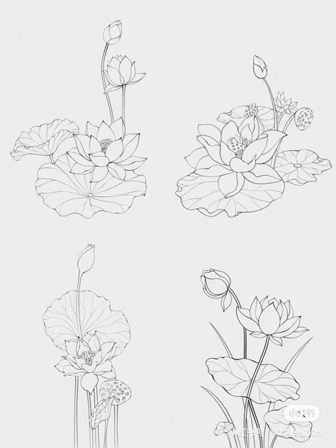 Lotus Flower Tattoo Black And White, Chinese Lotus Tattoo, Lotus Pond Drawing, Lotus Drawing Art, Water Lilies Drawing, Lotus Line Drawing, Lotus Flower Line Art, Lotus Embroidery Design, Lotus Flower Sketch