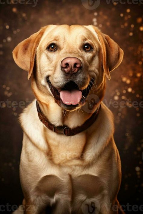 AI generated Portrait of cute labrador retriever, wallpaper design Labrador Retriever Wallpaper, Labrador Portrait, Cute Labrador, Tree Saw, Ink Drawings, Cityscape Photos, Logo Banners, Nature Backgrounds, Wallpaper Design