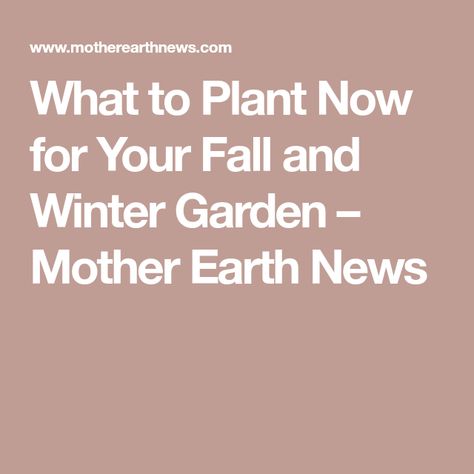 What to Plant Now for Your Fall and Winter Garden – Mother Earth News Garden Planting Schedule, Pole Bean Trellis, Fall Garden Planting, Planting Schedule, Bean Trellis, Flea Beetles, Succession Planting, Pole Beans, Kale And Spinach