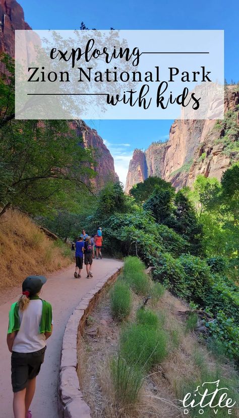 Exploring Zion National Park with kids. Zion National Park With Kids, Zion Hikes, Zion National Park Hikes, Hiking The Narrows, Zion Park, Utah Trip, National Parks America, Utah Vacation, Zion National Park Utah