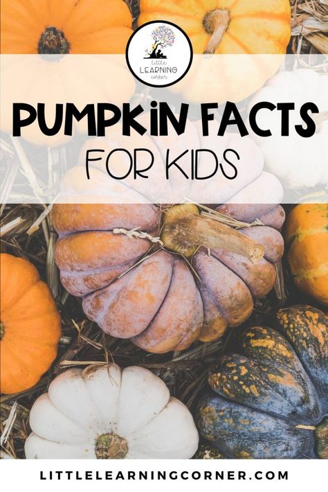 Kindergarten Autumn, Pumpkin Facts, Life Cycle Of A Pumpkin, Autumn Themed Activities, March Math, Concepts Of Print, Learning Corner, Math Mats, Fall Family Fun