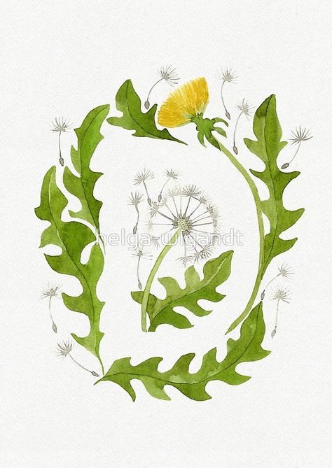 D is for dandelion Dandelion Illustration, Illustrated Type, Dandelion Fluff, Yellow Dandelion, Dandelion Leaves, Watercolor Monogram, Botanical Elements, Bible Cover, Cover Illustration