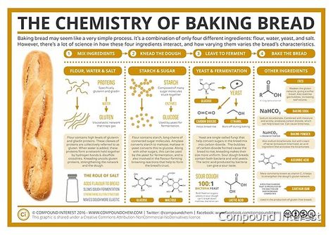 Food Chemistry, Baking 101, Culinary Techniques, Baking Science, Compound Interest, Bread Making, Baking Bread, Bread Machine Recipes, Food Science