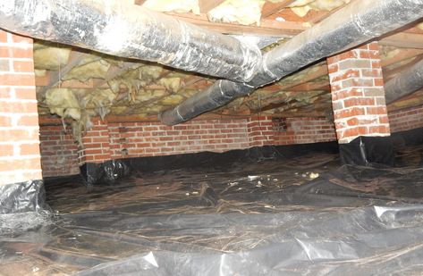 How to Get the Most Out of Your Crawl Space | Basement Repair Specialists Basement Crawl Space Ideas, Mold In Crawl Space, Crawl Space Access Door, Crawl Space Cover, Crawl Space Storage, Basement Repair, Crawl Space Repair, Crawl Space Encapsulation, Garage Attic