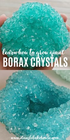 Borax Seashells, Borax Geodes, Borax Crystals Diy Deer Skull, How To Make Borax Crystals, Borax Crystals Diy Ideas, Borax Crystals Diy Skull, Crystal Art Crafts, Giant Geode, Crystals Tutorial