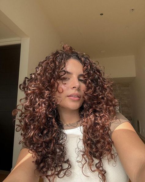 𝐀𝐒𝐇𝐋𝐄𝐘 on Instagram: "Name something better than a good hair day…" Red Balayage On Curly Hair, Brown Curly Hair Colors, Reddish Brown Curly Hair, Copper Highlights On Brown Hair Curly, Dark Copper Curly Hair, Curly Hair Color Ideas Balayage, Auburn Curly Hair, Rezo Cut Curly Hair, Hair Color For Morena Skin