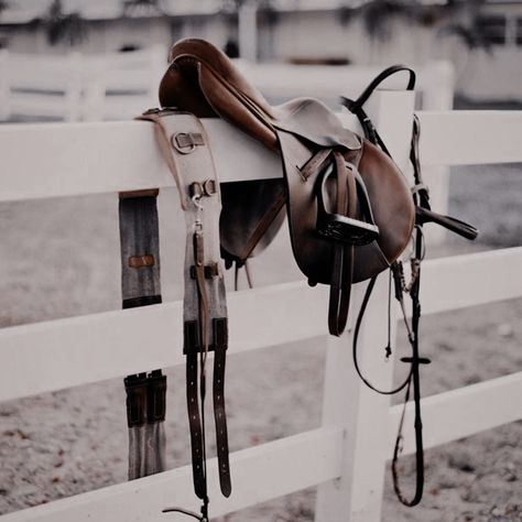 Hunter Jumper Aesthetic, Equitation Aesthetic, Horse Riding Aesthetic, Elsie Silver, Equestrian Aesthetic, Free Rein, English Horse, Horse Inspiration, Horses Riding