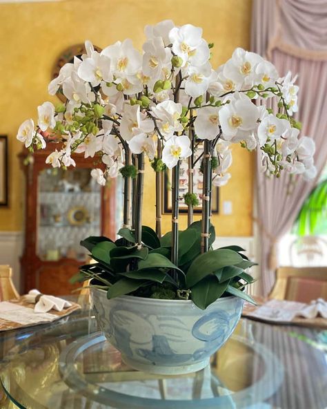 Orchid Bowl, Silk Orchids Arrangements, Orchid Flower Arrangements, Orchid Centerpieces, Spring Living Room, Dining Room Table Centerpieces, Large Flower Arrangements, Hydrangea Arrangements, Faux Floral Arrangement