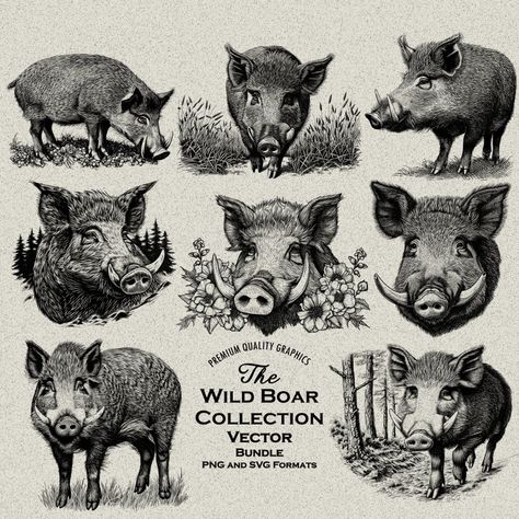 Wild Boar Photography, Taxidermy Logo Design, Boar Tattoo Design, Wild Boar Illustration, Wild Boars, Wild Pig, Boars Head, Wild Boar, Nature Tattoos