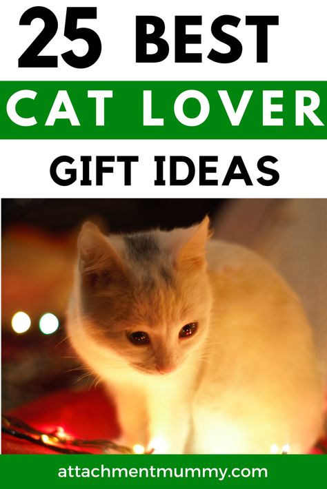 25 of the Best Gifts for Cat Lovers #Caturday #cats #giftguide #giftideas #catlovers Gift Ideas For Cat Lovers, Cat Advice, Lover Gift Ideas, Cat Wine, Gifts For Cat Lovers, Cat Themed Gifts, Christmas Planning, Sweet Boy, Cat Themed