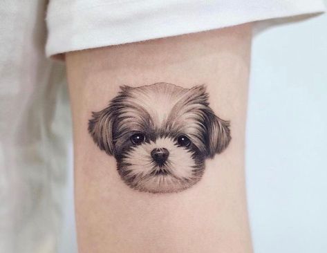 Shih Tzu Tattoo Minimalist, Shitzu Tattoos, Shihtzu Tattoos, Puppy Tattoo, Pet Tattoos, Perro Shih Tzu, Creative Tattoo Ideas, Pet Memory, Tattoos For Dog Lovers