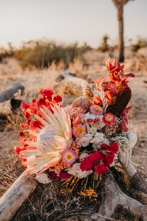 Joshua Tree Elopement custom dried pink, red and magenta wedding bouquet with King Protea, bougainvillea, strawflowers for this desert wedding at sunset. Visit the journal for more! #joshuatreewedding #bohowedding #desertwedding #kingprotea Southwestern Wedding Bouquet, Dried Spring Flowers, Bright Desert Wedding, Pink Protea Bouquet, Desert Bouquet Wedding, Boho Sunset Wedding, Strawflower Wedding, Colorful Desert Wedding, Bright Western Wedding