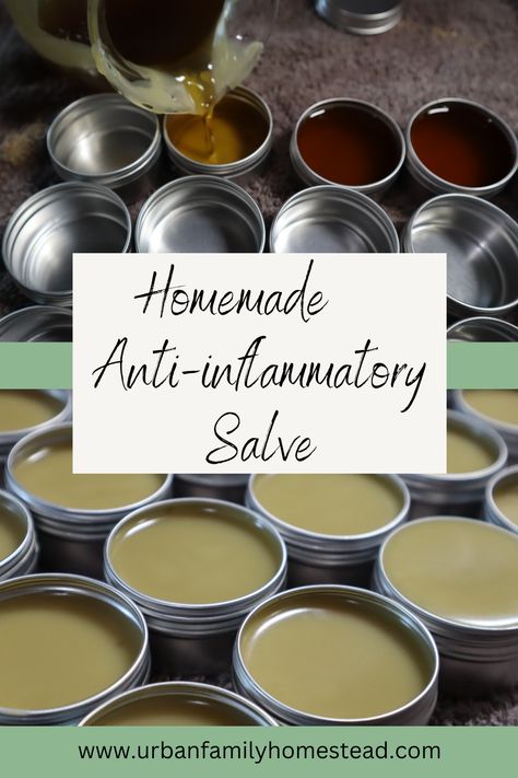 Homemade Healing Salve, Herbal Salve Recipes, Healing Salve Recipe, Herbal Medicine Cabinet, Homemade Salve, Drawing Salve, Calendula Salve, Sunflower Petals, Healing Salve