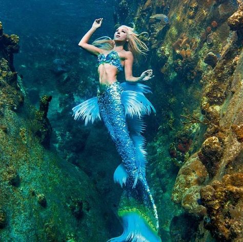 Meet Hannah Fraser - a real-life, full-time professional mermaid, who dances with sharks, dolphins, whales and more - to raise awareness about the fragi... Real Life Mermaids, Professional Mermaid, Mermaid Pose, Mermaid Photography, Mermaid Barbie, Sea Shepherd, Mermaid Photos, Ocean World, Manta Rays