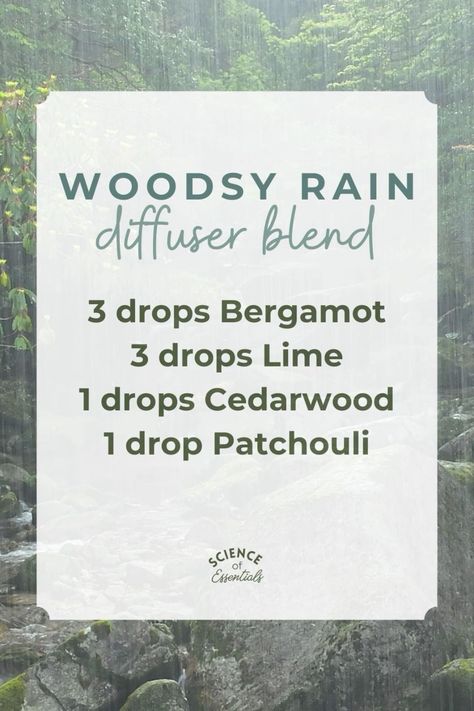 Woodsy rain diffuser blend, tree essential oils, science of essentials, aromatherapy, Cedarwood oil Rainy Day Diffuser Blends, Rain Diffuser Blend, Rain Diffuser, Summer Diffuser Blends, Eo Blends, Essential Oil Combinations, Essential Oil Diffuser Blends Recipes, Essential Oils Guide, Essential Oil Diffuser Recipes