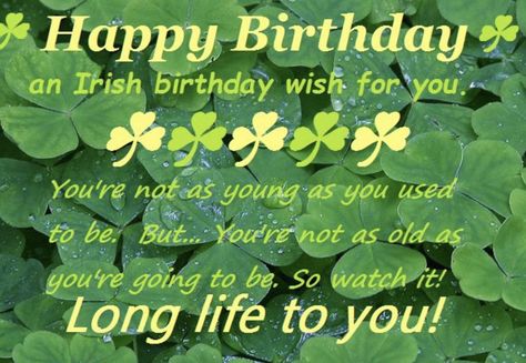 Irish Birthday Wishes, Happy Birthday Irish, St Patrick's Day Appetizers, Irish Birthday, Birthday Wishes For Friend, Birthday Meme, Happy St Patricks Day, Wishes For You, St Pattys Day